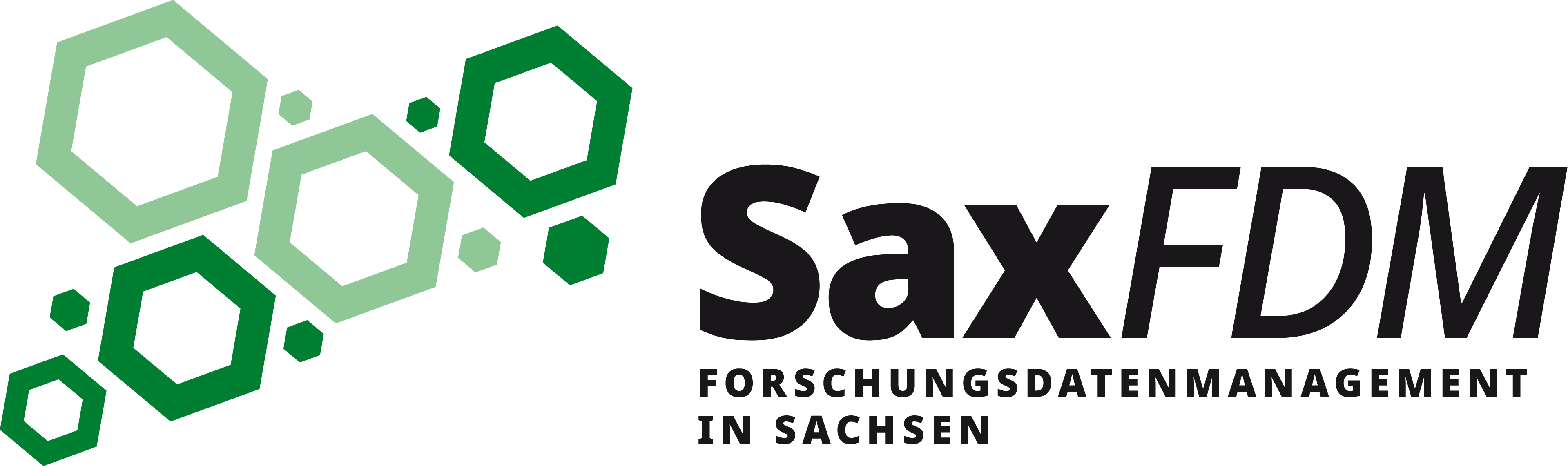 Logo der sächsischen Forschungsdatenmanagement-Initiative SaxFDM