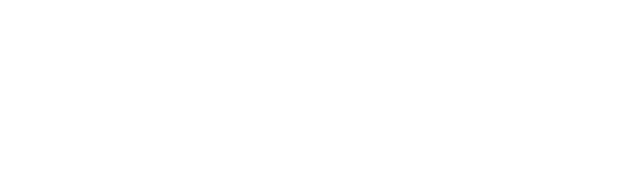 tud logo
